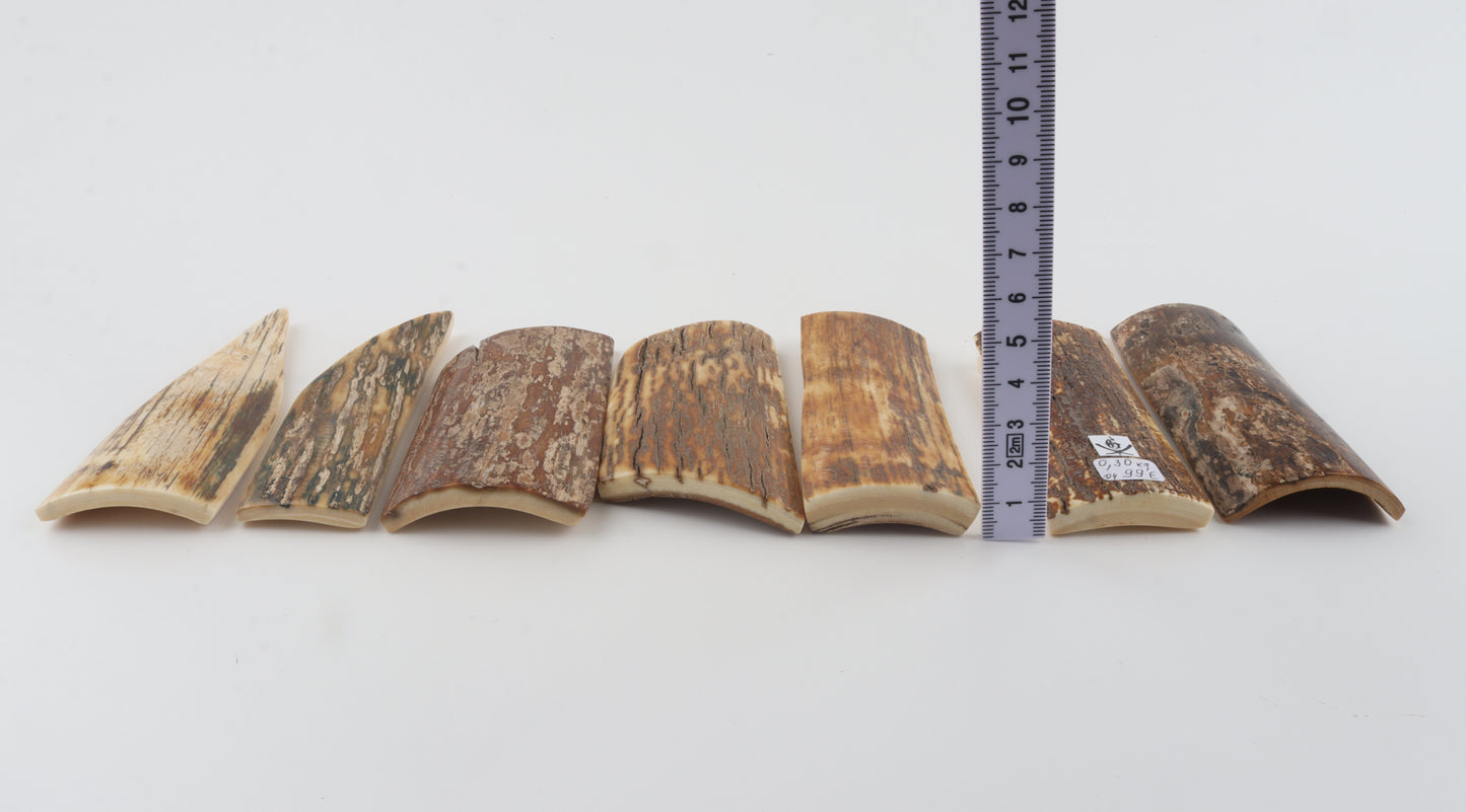 Natural mammoth bark pieces
