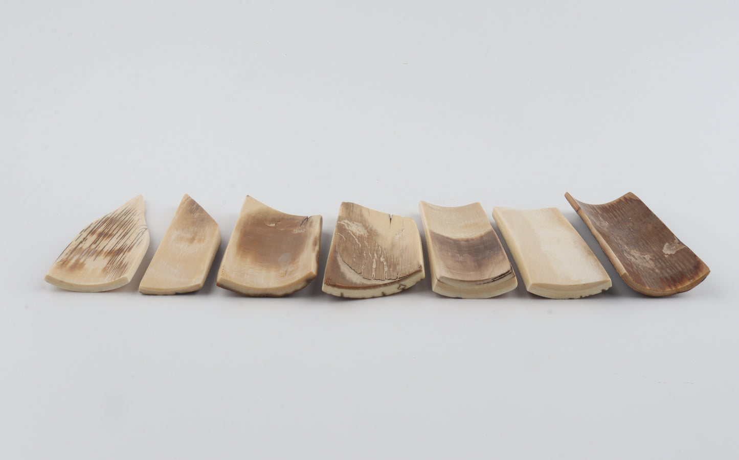 Natural mammoth bark pieces