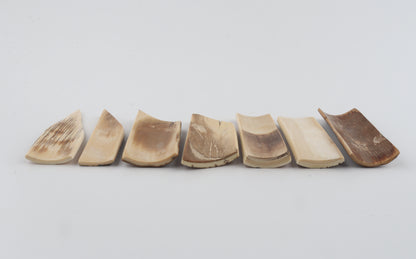 Natural mammoth bark pieces