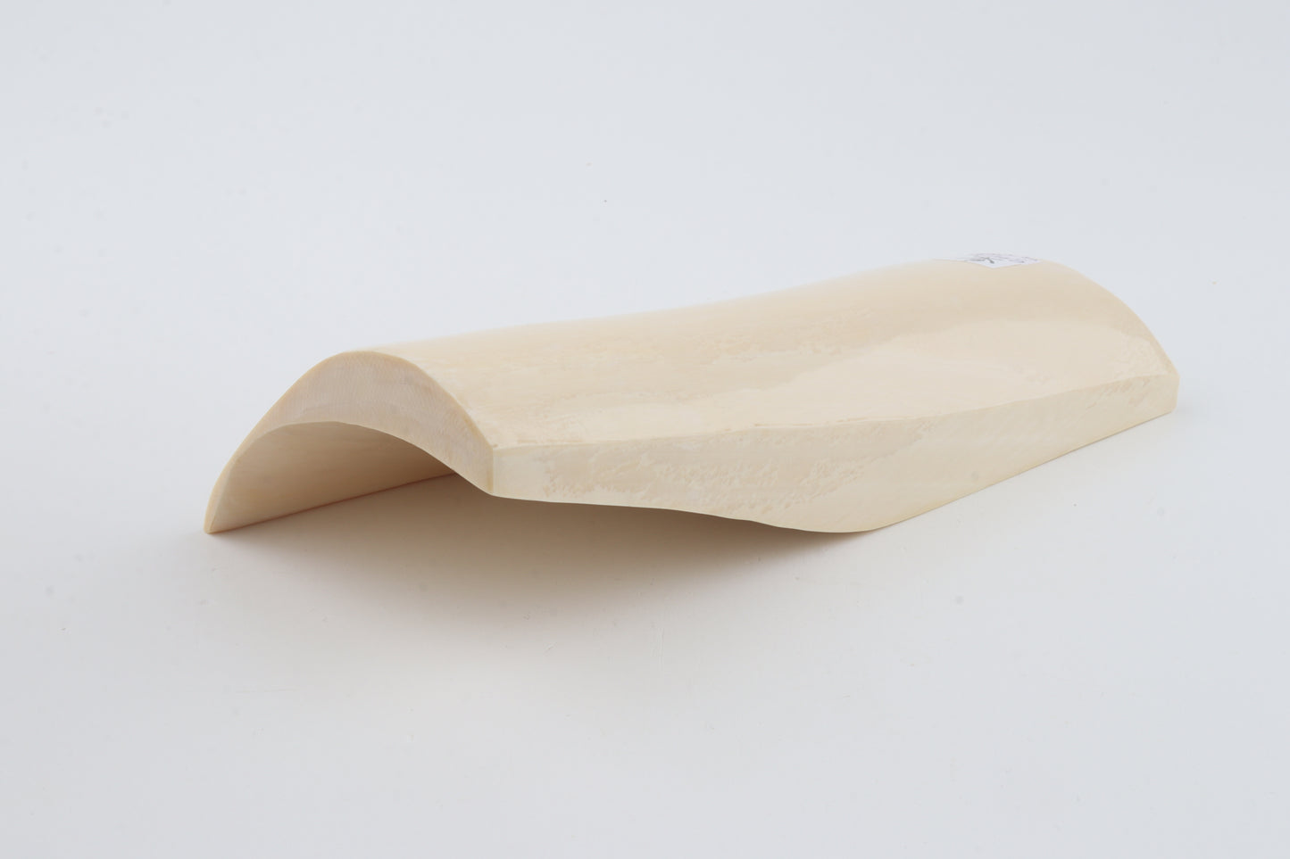 White mammoth ivory segment