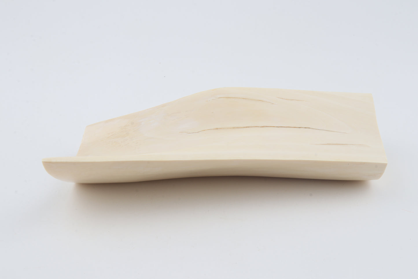 White mammoth ivory segment