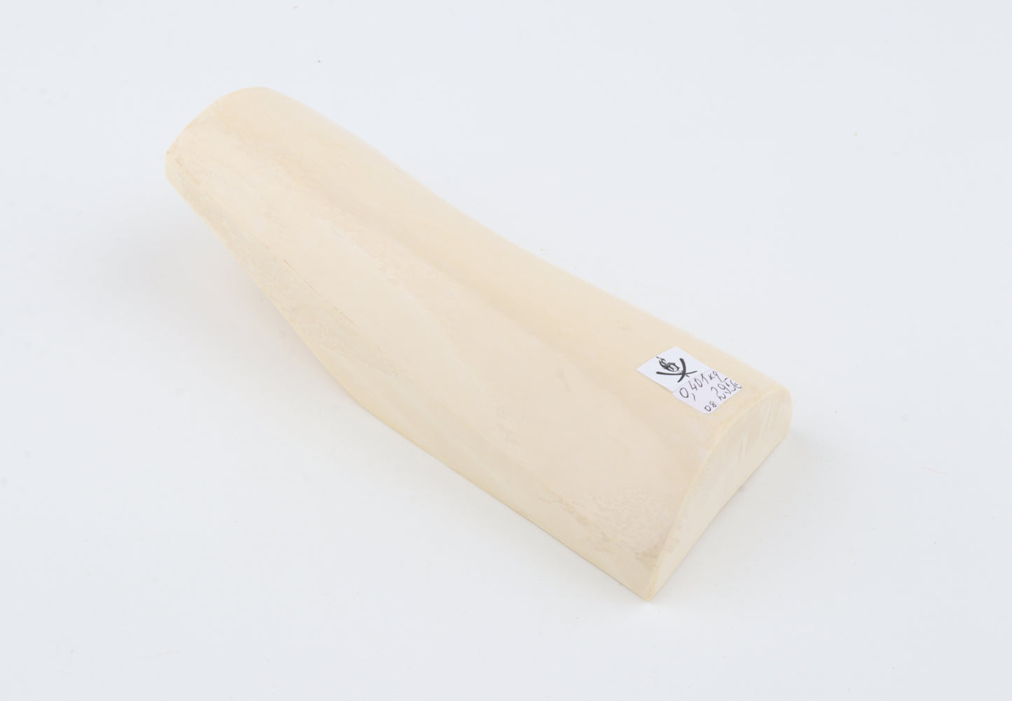 White mammoth ivory segment