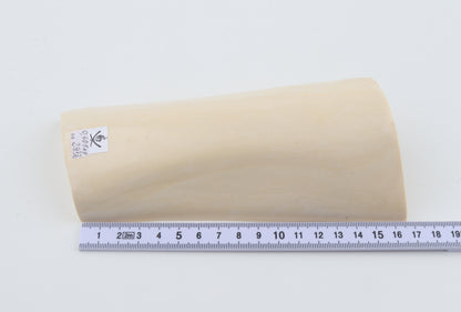 White mammoth ivory segment
