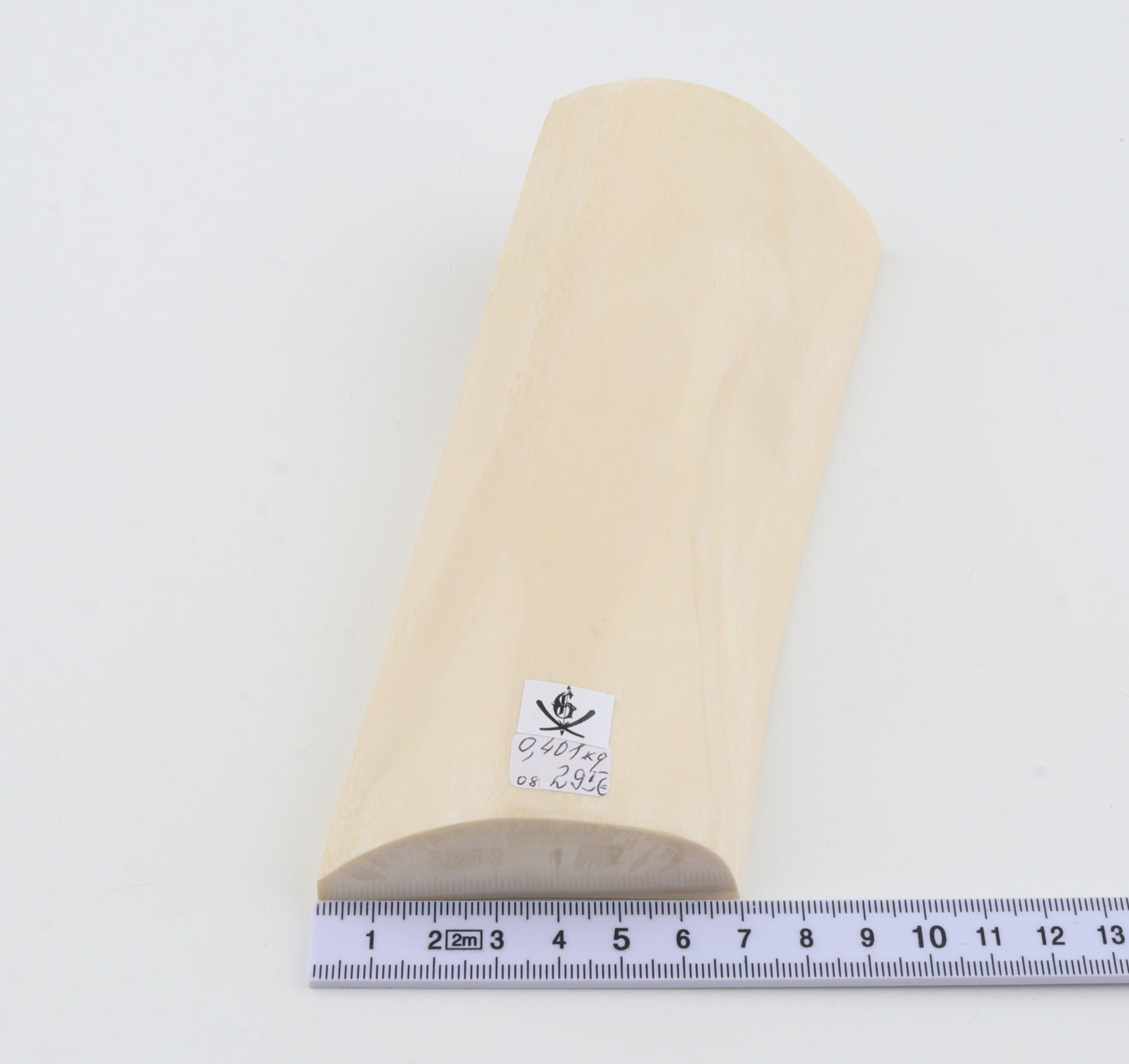 White mammoth ivory segment