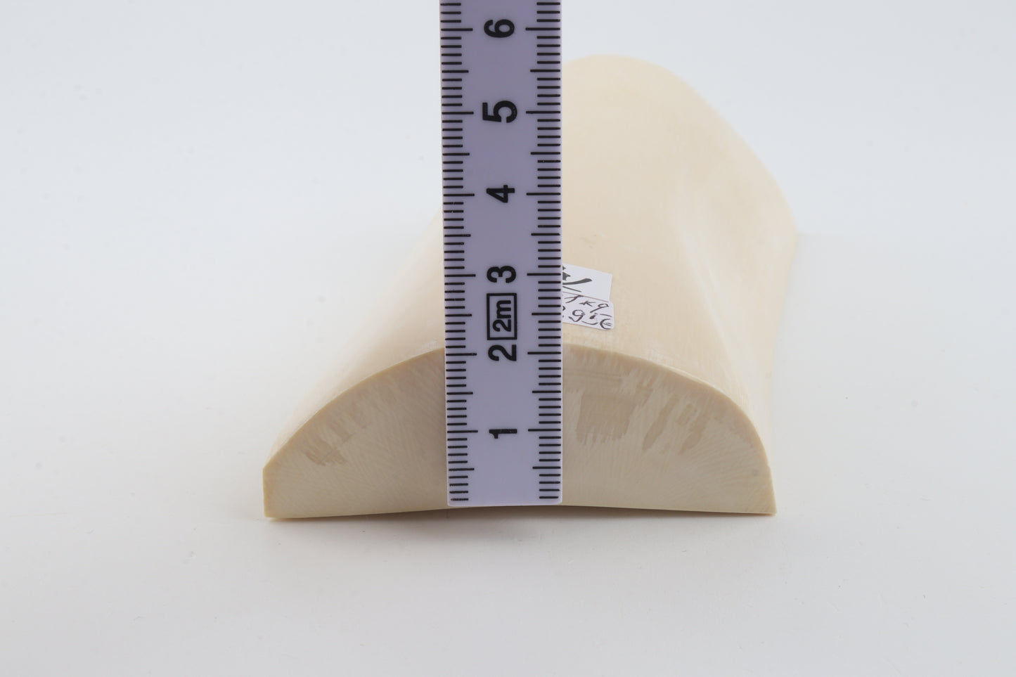White mammoth ivory segment