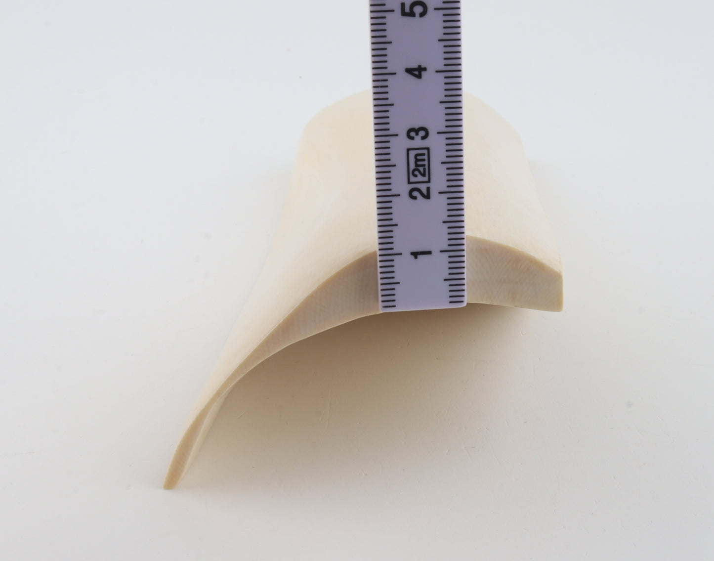 White mammoth ivory segment