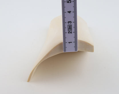 White mammoth ivory segment