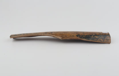 Mustard-blue mammoth bark