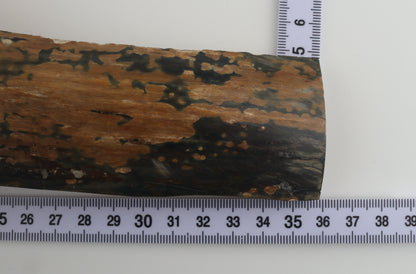 Mustard-blue mammoth bark