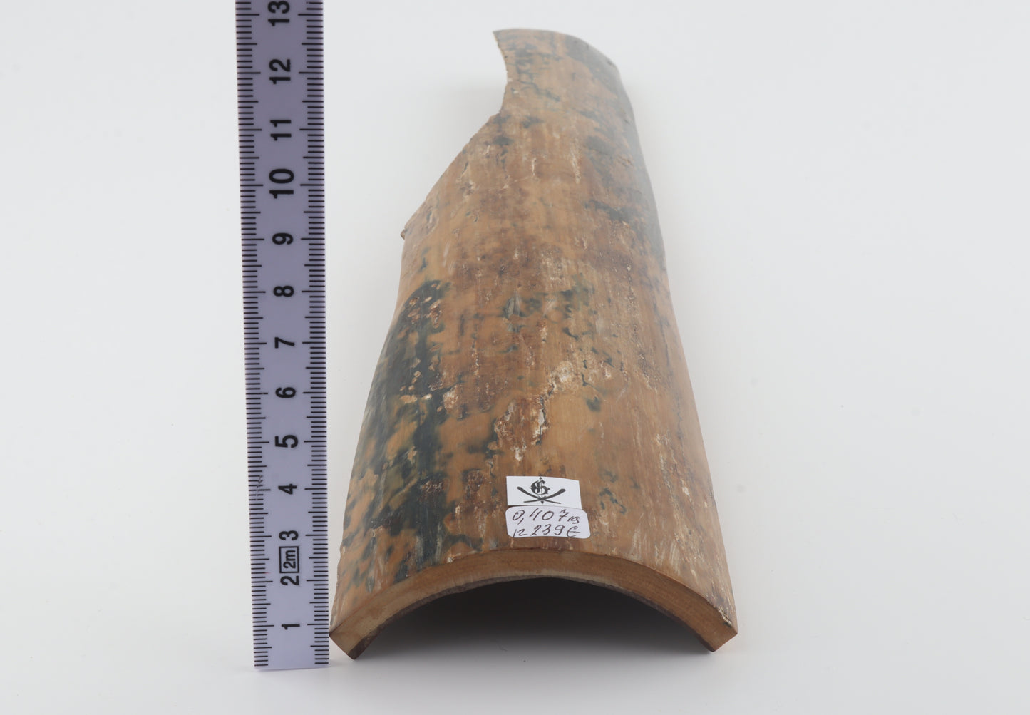 Mustard-blue mammoth bark