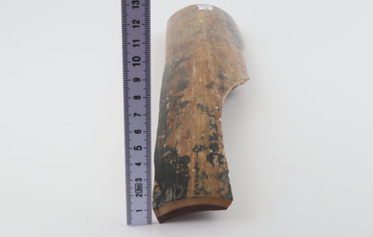 Mustard-blue mammoth bark