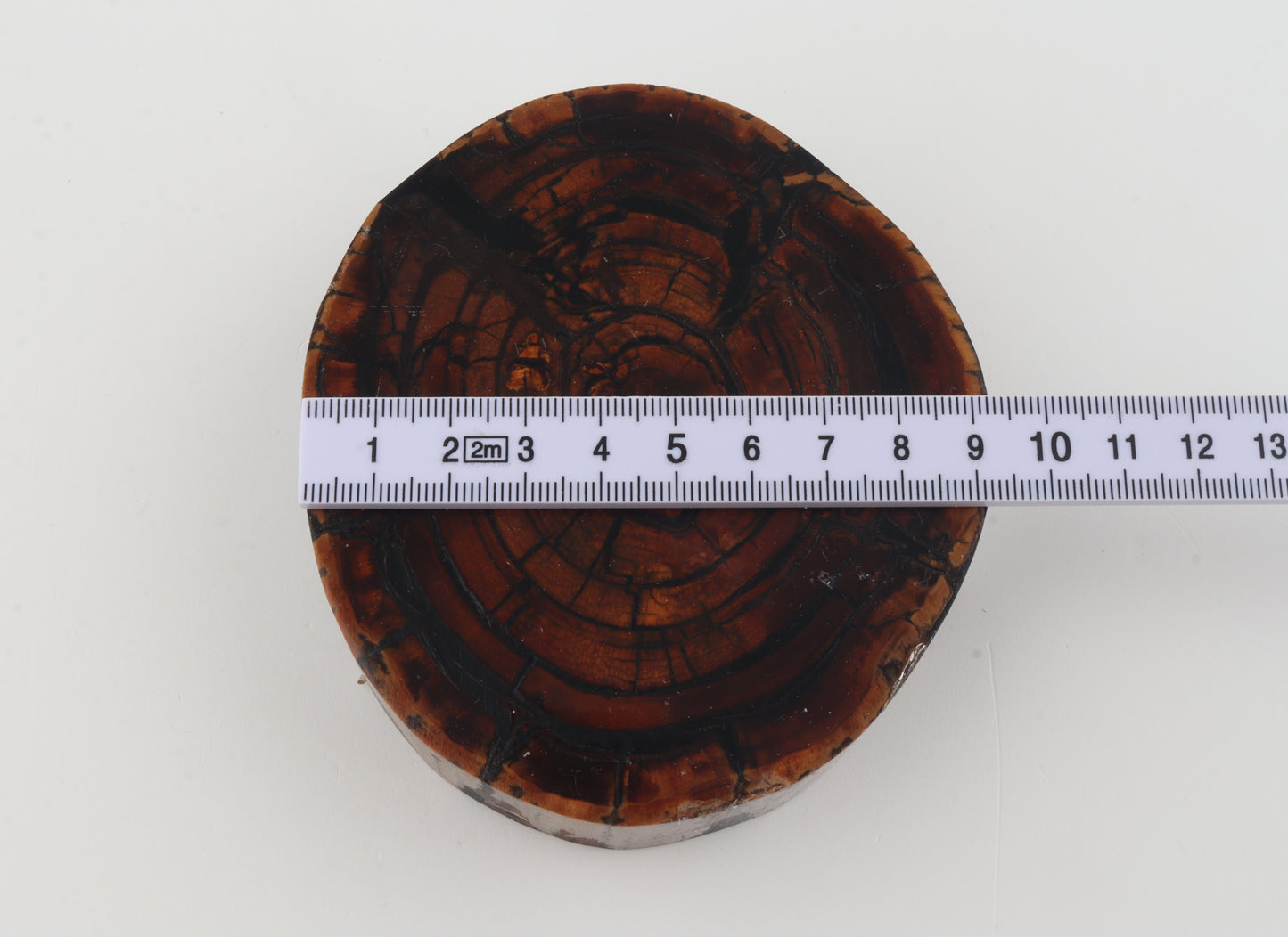 Stabilised mammoth ivory block