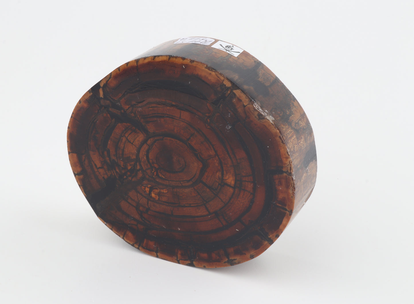 Stabilised mammoth ivory block