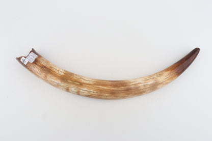 Restored woolly mammoth tusk
