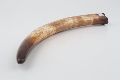 Restored woolly mammoth tusk