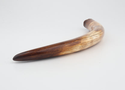 Restored woolly mammoth tusk