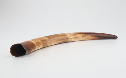 Restored woolly mammoth tusk