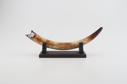 Restored woolly mammoth tusk