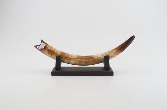 Restored woolly mammoth tusk