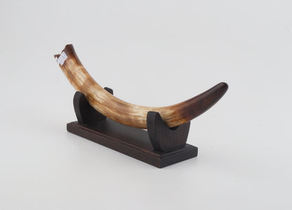 Restored woolly mammoth tusk