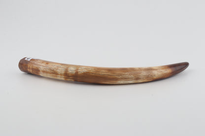 Restored woolly mammoth tusk