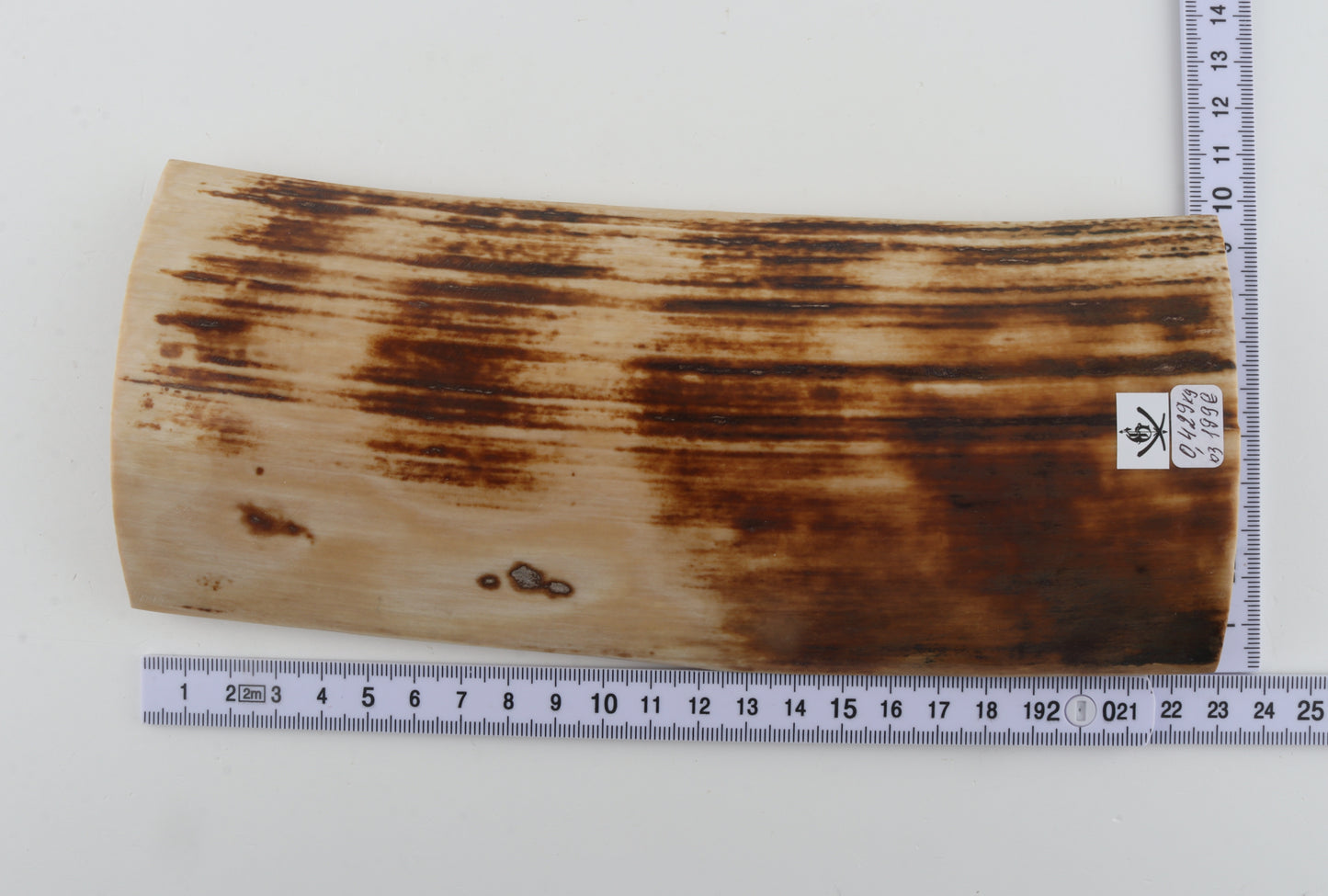 Natural mammoth bark
