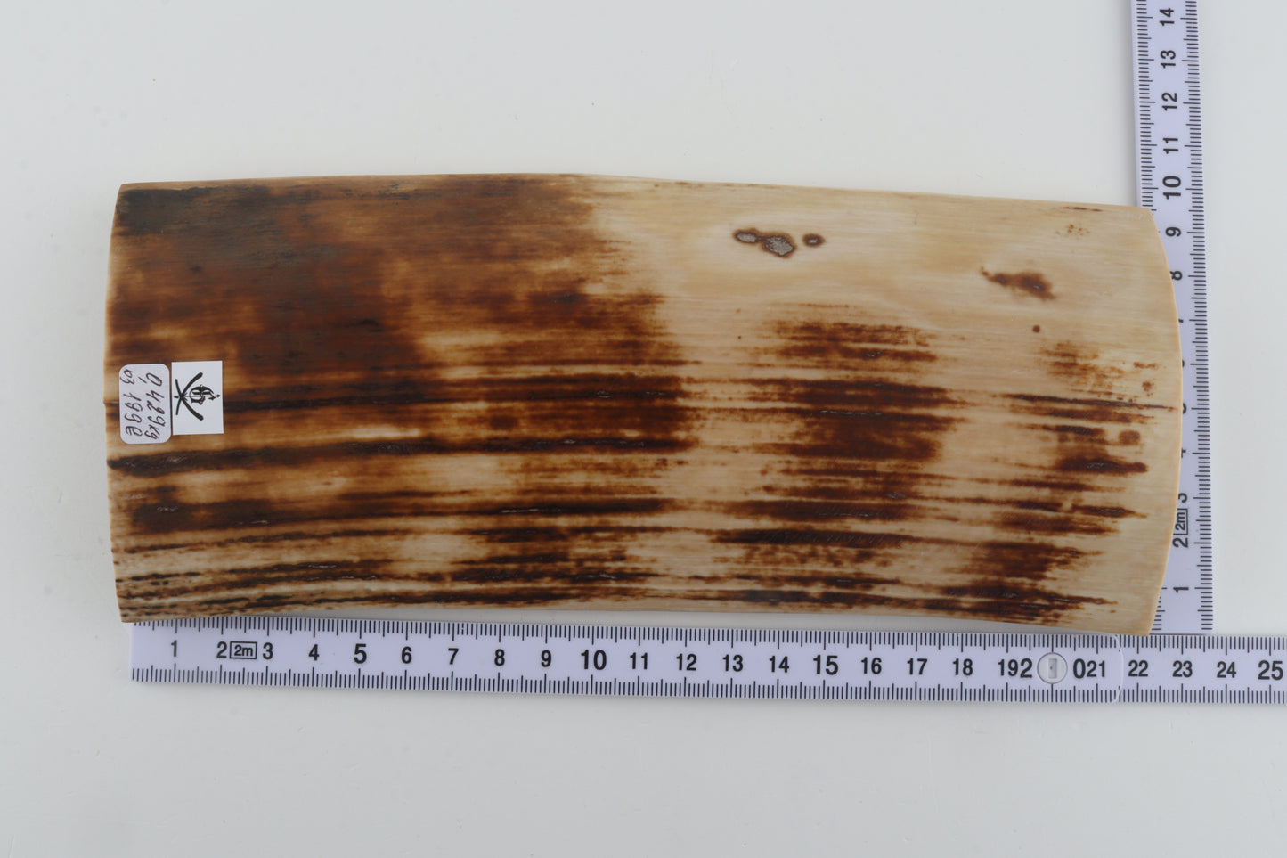 Natural mammoth bark