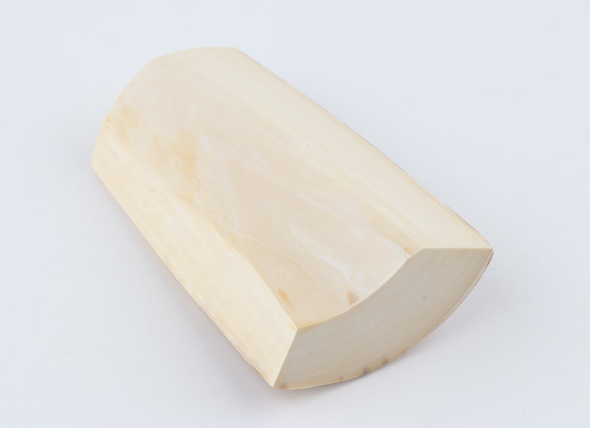 Natural mammoth ivory piece