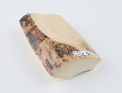 Natural mammoth ivory piece