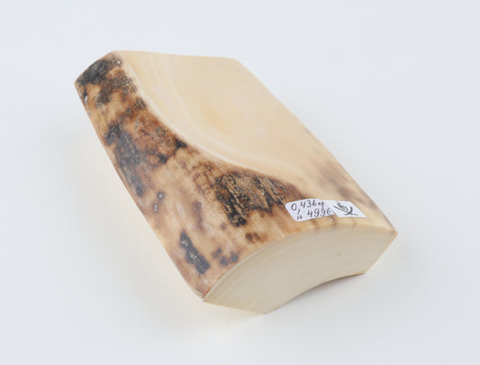 Natural mammoth ivory piece