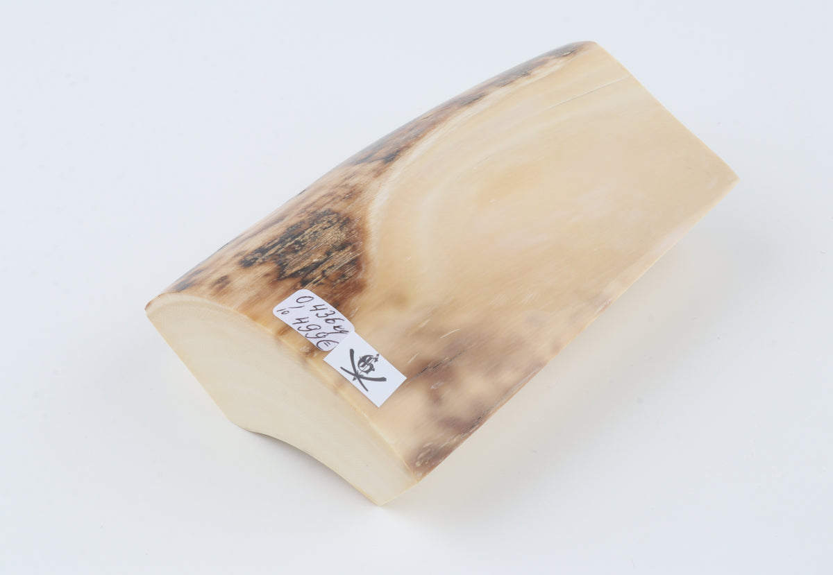 Natural mammoth ivory piece