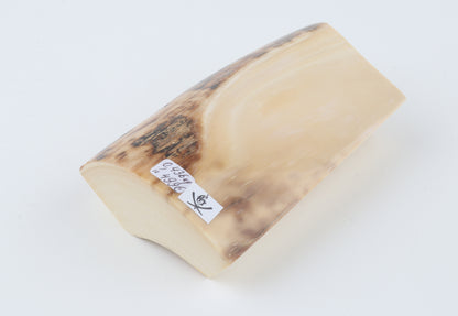 Natural mammoth ivory piece