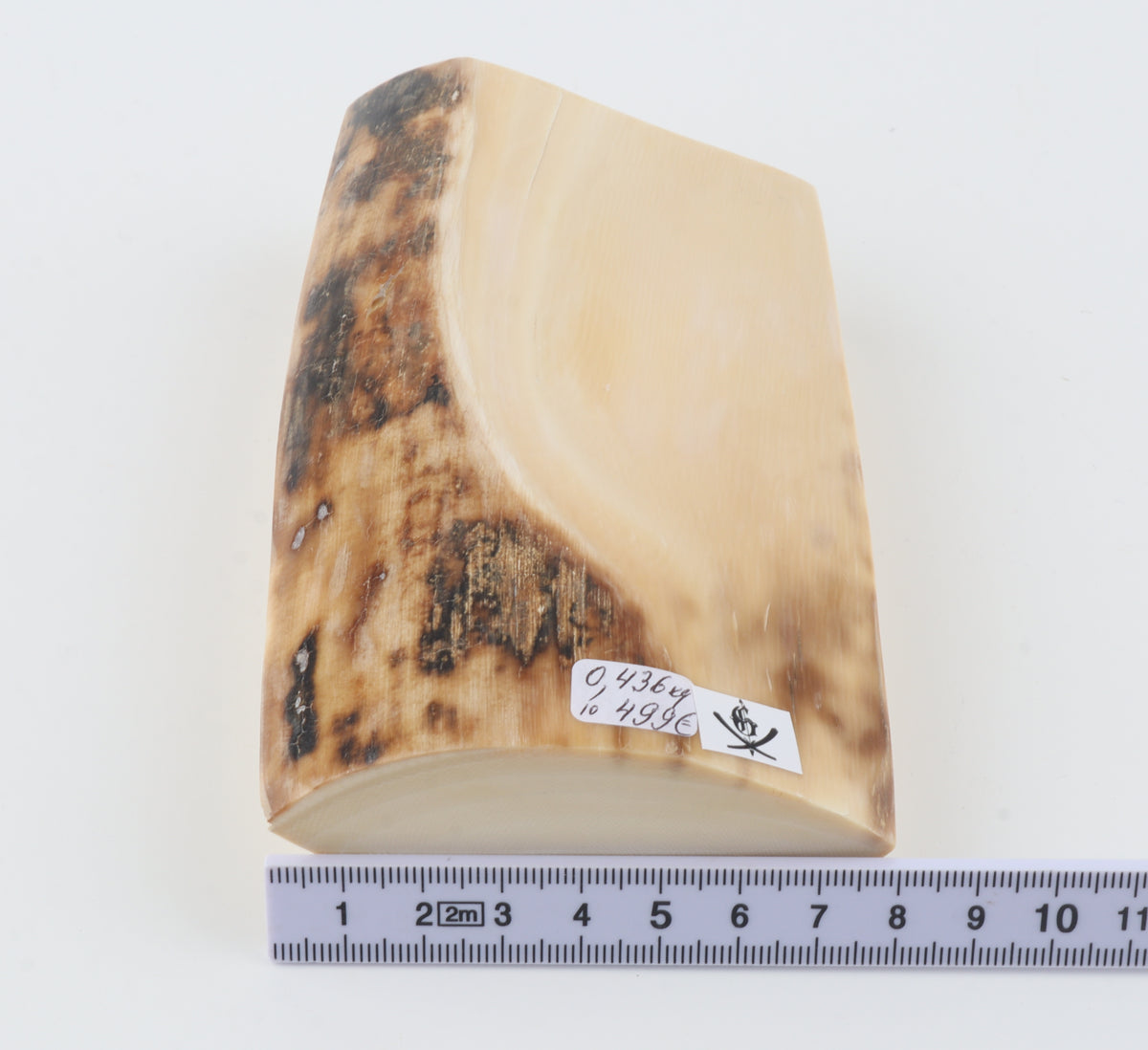 Natural mammoth ivory piece