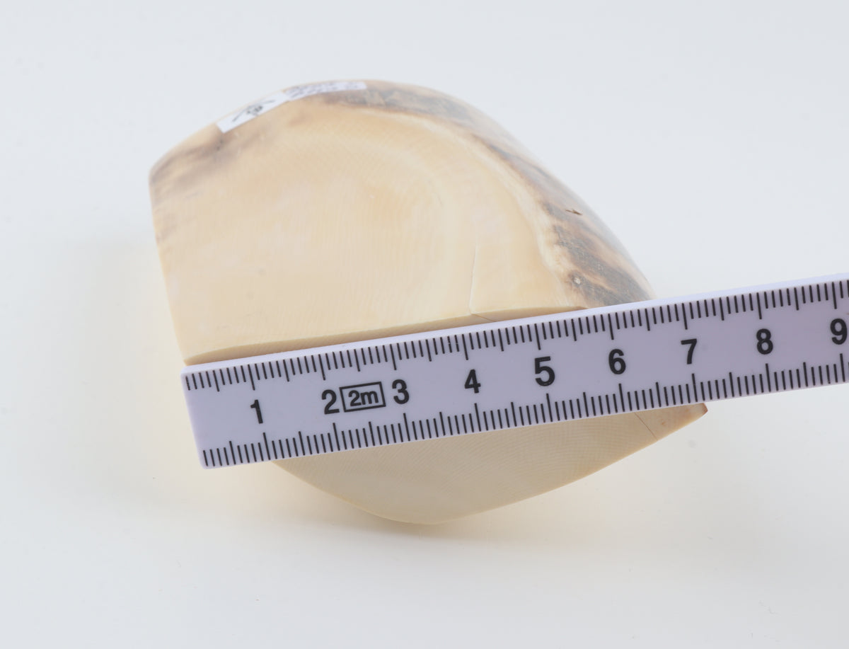 Natural mammoth ivory piece