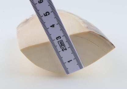 Natural mammoth ivory piece