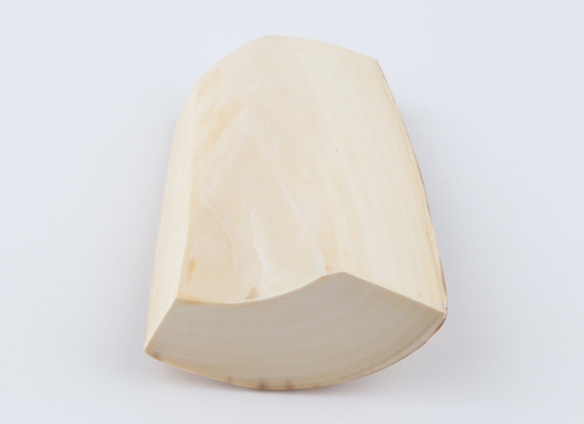 Natural mammoth ivory piece