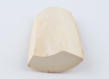 Natural mammoth ivory piece