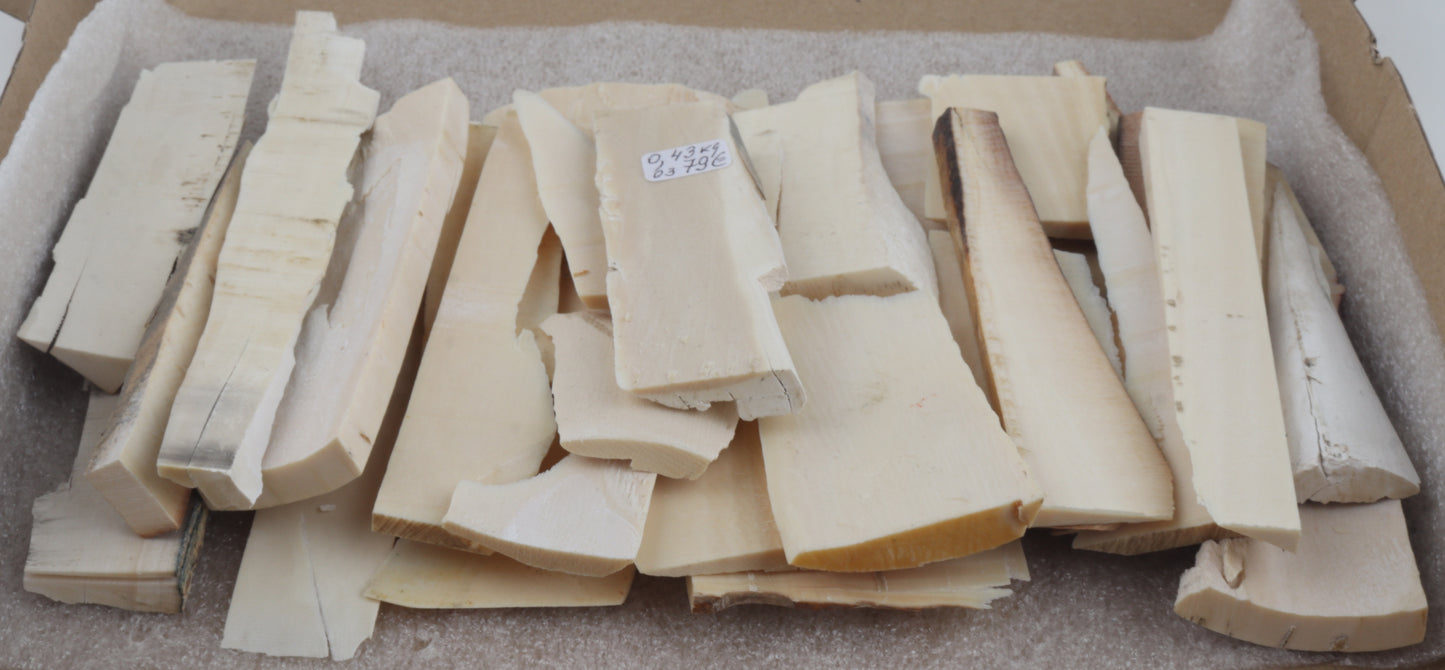 Raw white mammoth ivory offcuts