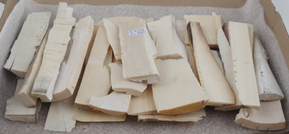 Raw white mammoth ivory offcuts