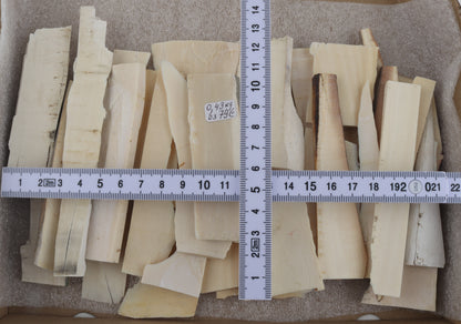 Raw white mammoth ivory offcuts