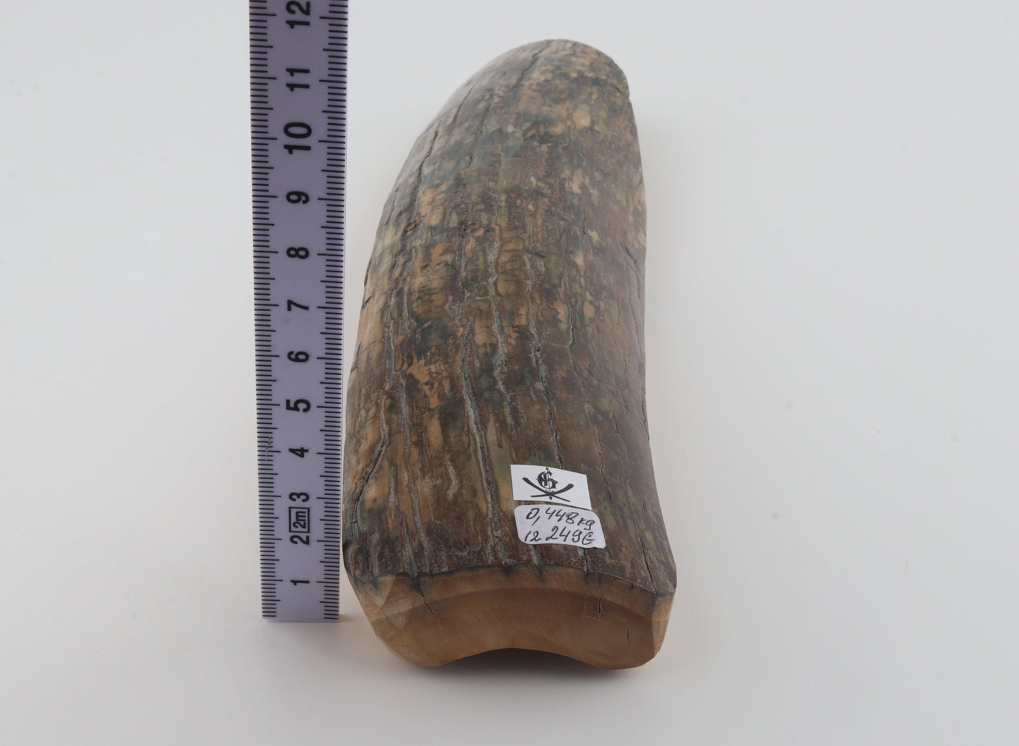 Beige-blue mammoth bark