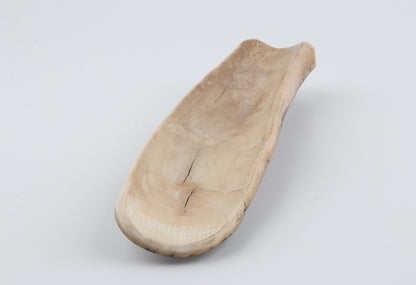 Beige-blue mammoth bark