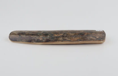 Beige-blue mammoth bark