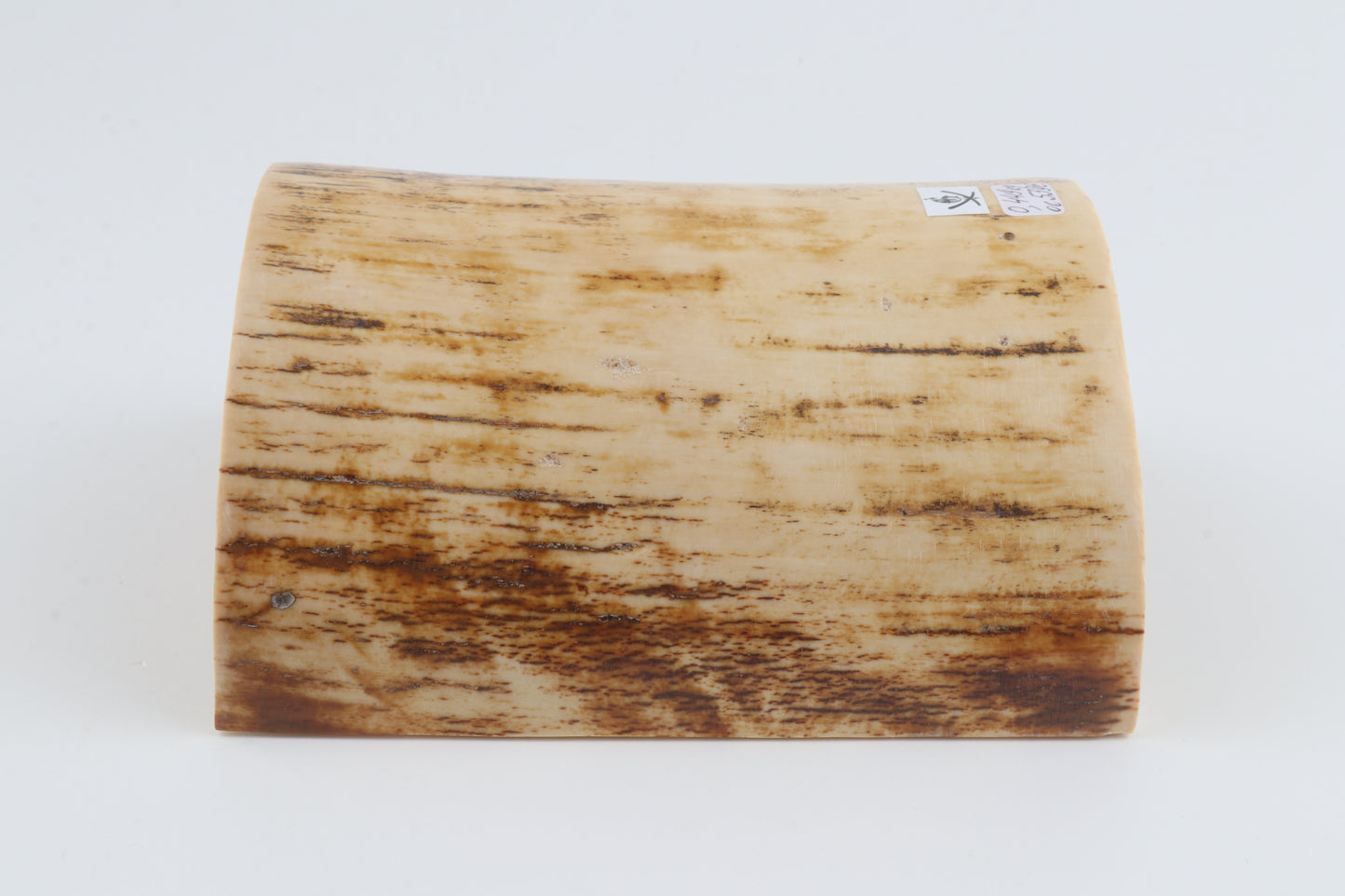 White-orange mammoth bark
