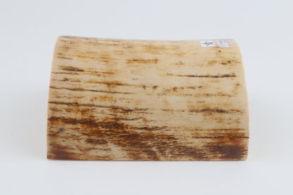 White-orange mammoth bark