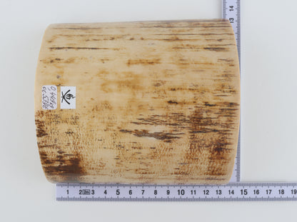 White-orange mammoth bark