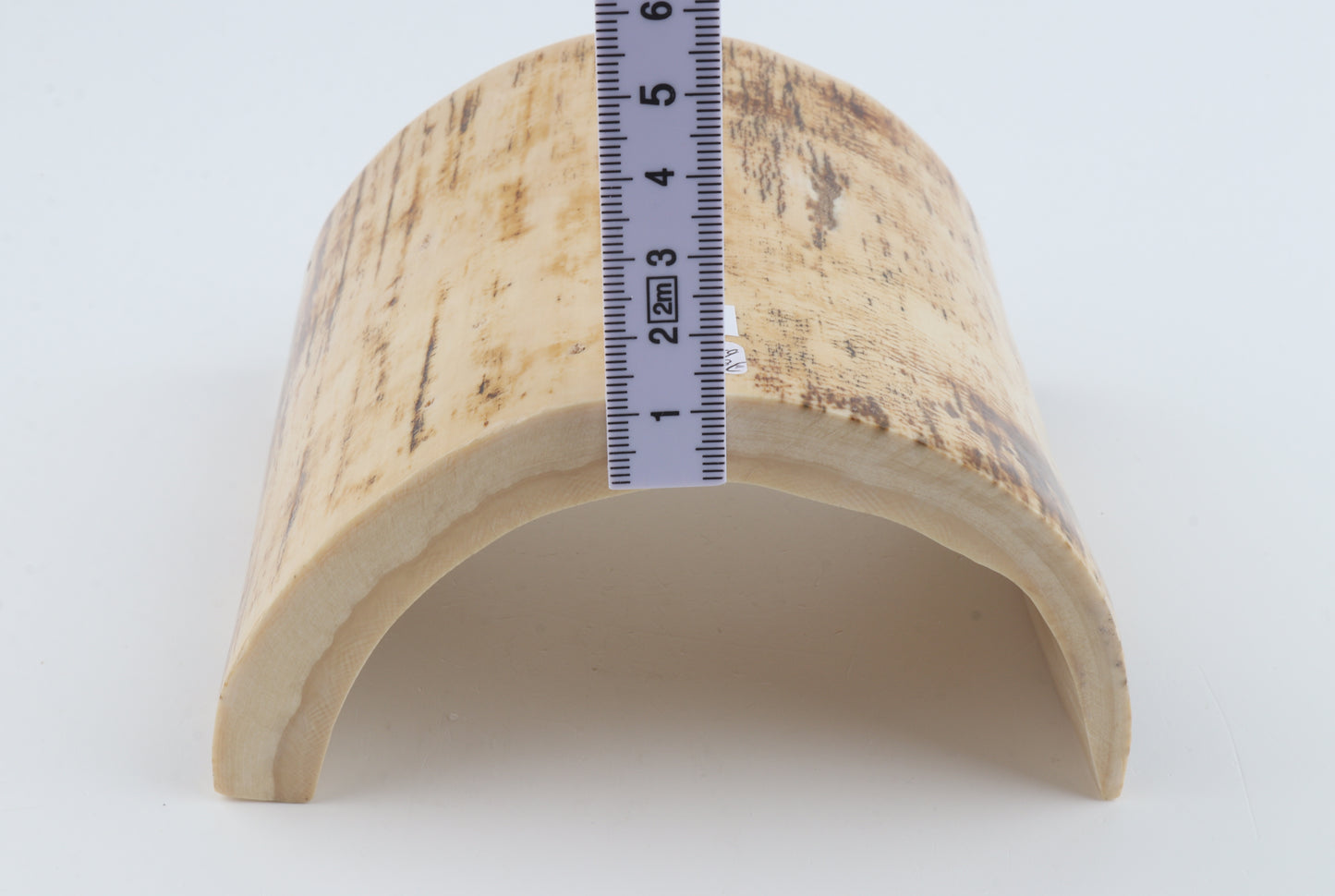 White-orange mammoth bark