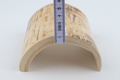 White-orange mammoth bark