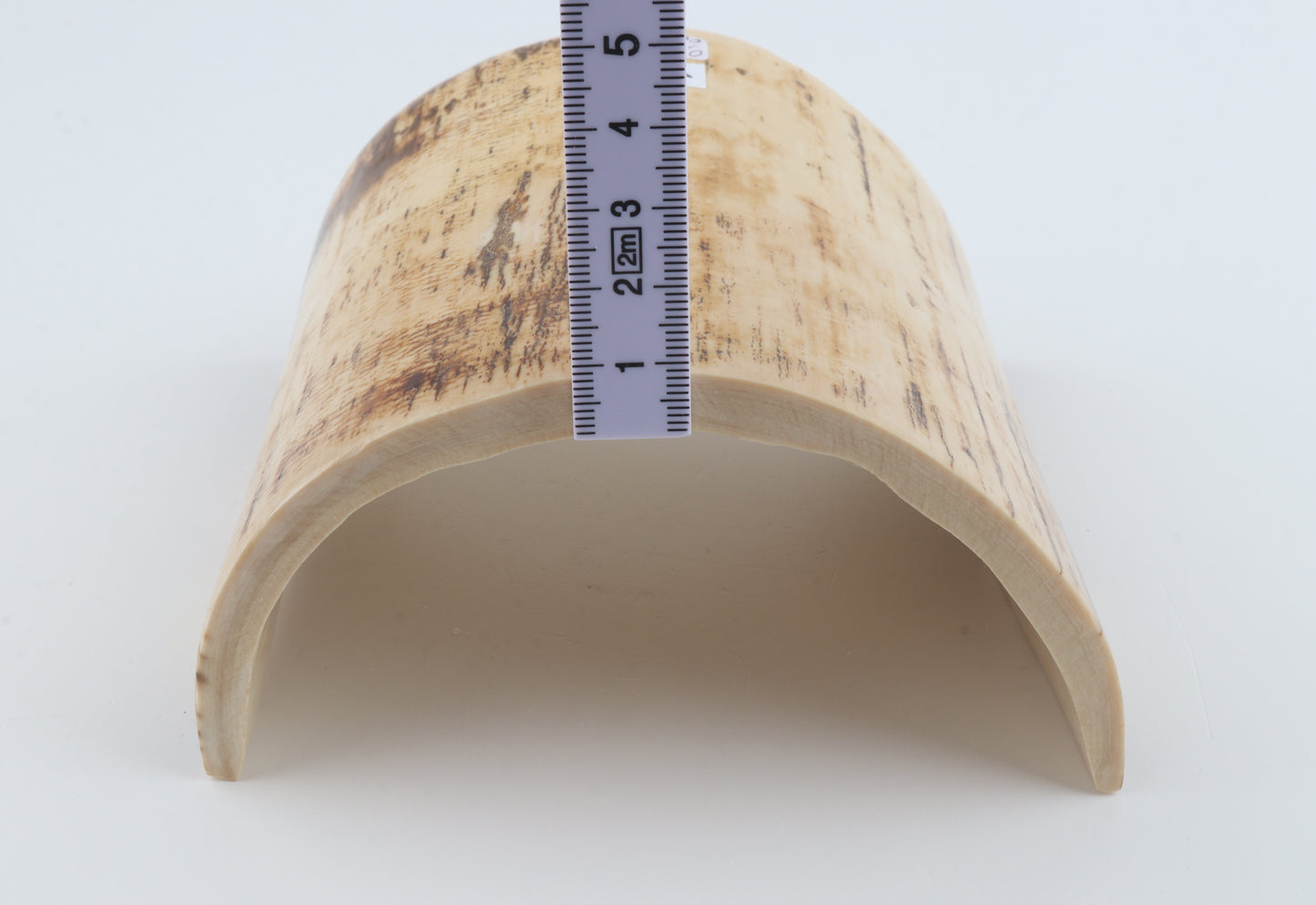 White-orange mammoth bark