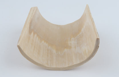 White-orange mammoth bark